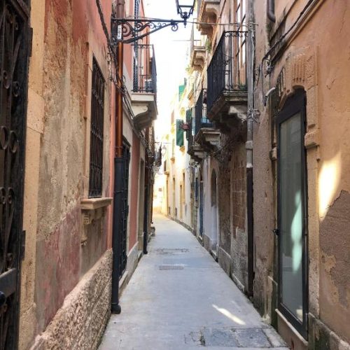 WhatsApp Image 2025-12-29 at 23.04.00